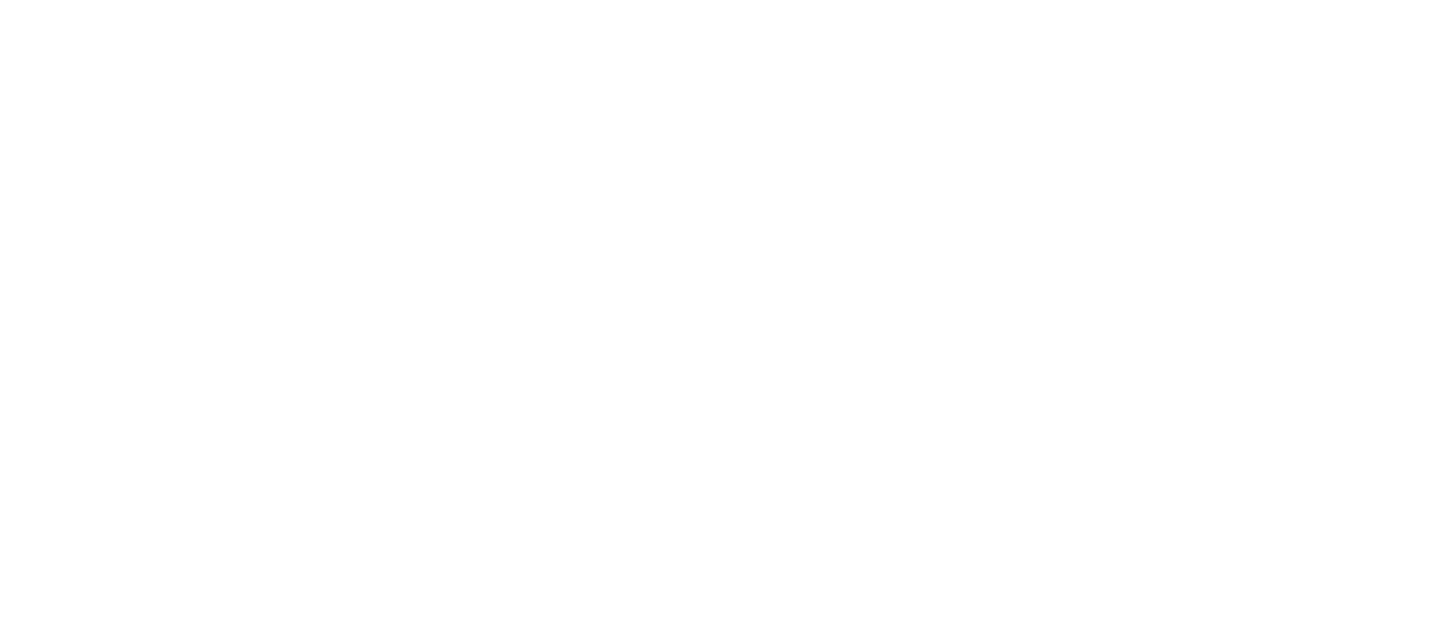 Bridge The Gap logo